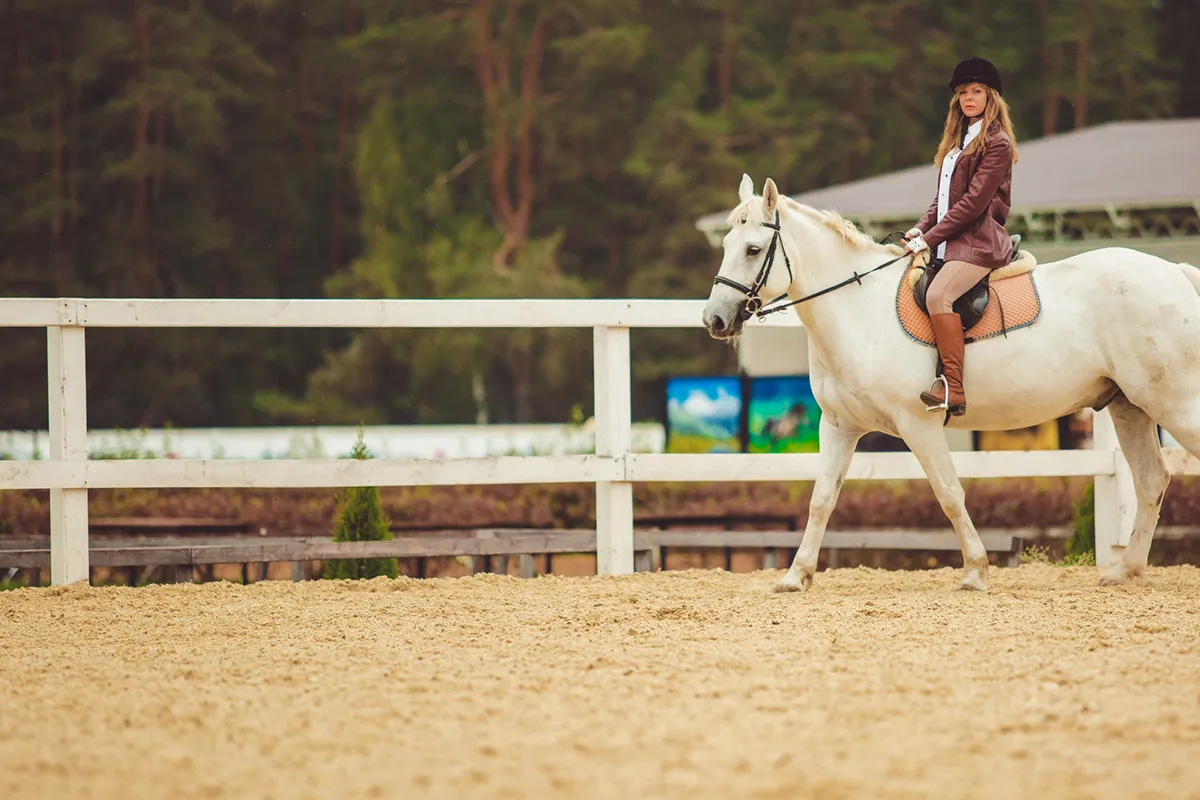 a girl over a white horse