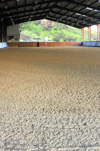 an Arena Footing for horses